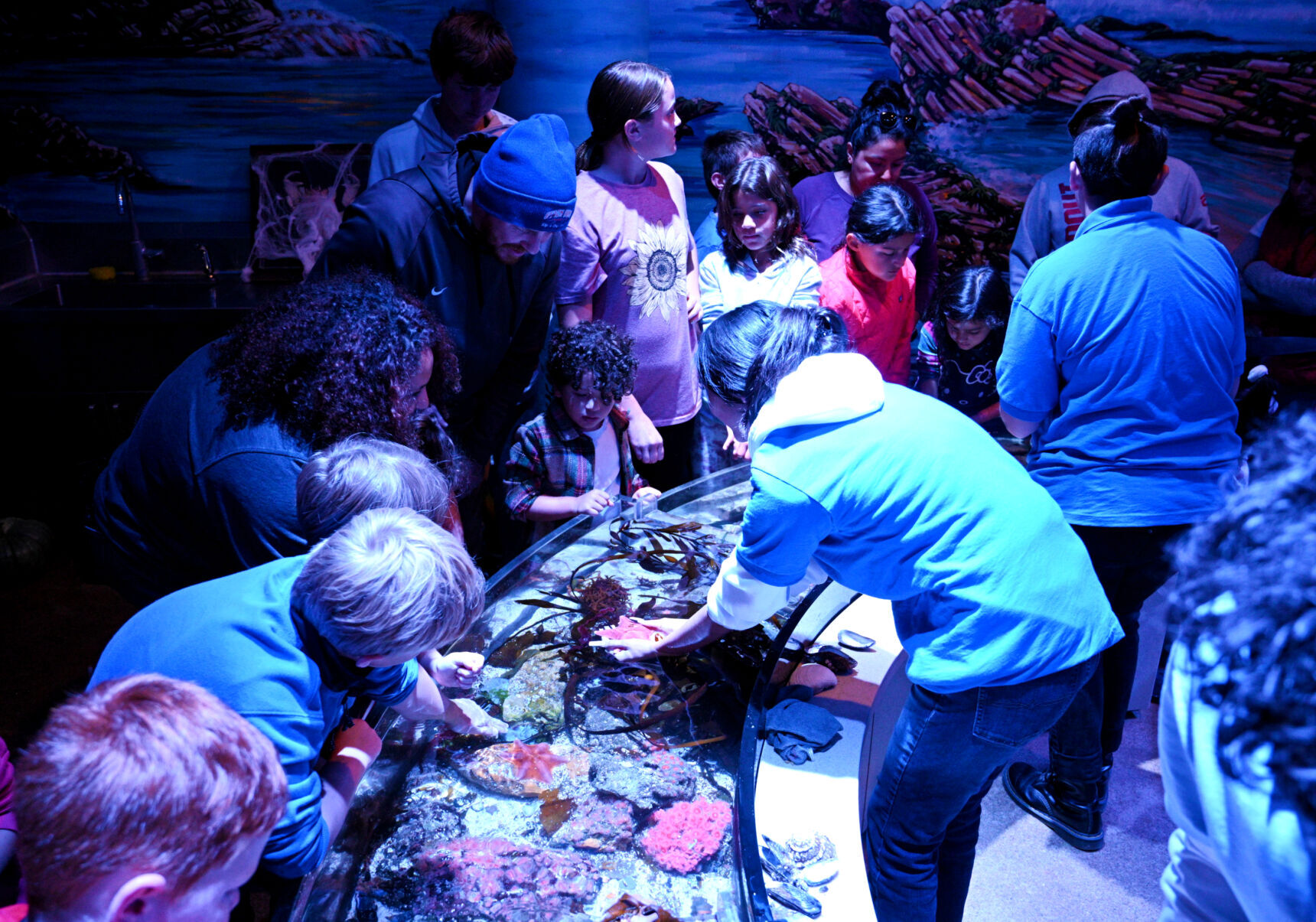 102722-smt-news-sharktoberfest-002